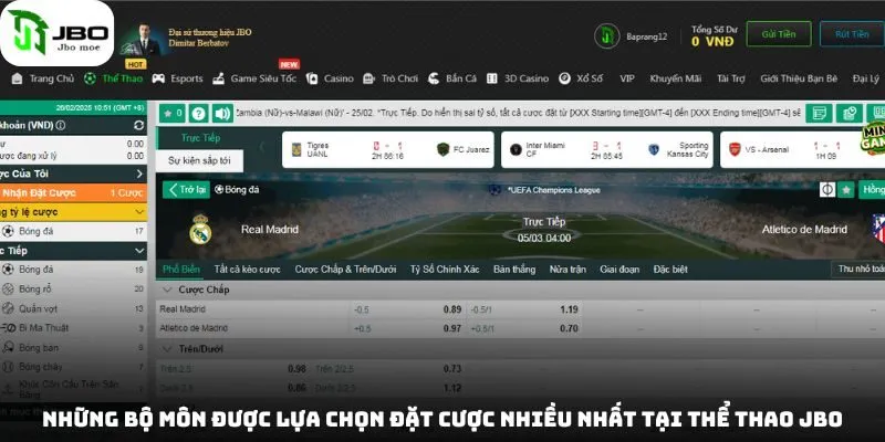 Thể Thao Jbo - Hướng Dẫn Chi Tiết Cho Người Mới Bắt Đầu 4 nhung-bo-mon-duoc-lua-chon-dat-cuoc-nhieu-nhat-tai-the-thao-jbo